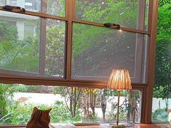 -咖法森林·咖啡  酒吧(天河店)