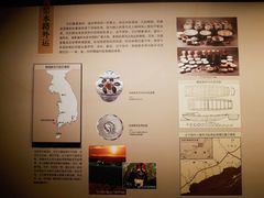 -磁州窑博物馆