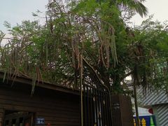 -杨厝六十六农庄农舍(杨厝路店)
