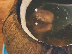 原汁椰子鸡炖老鸡-先记烧鹅王·本地粤菜(福永店)