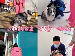 -美联众合动物医院·24h京西诊疗中心