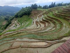 -紫鹊界梯田景区