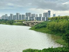 -九里湖国家湿地公园