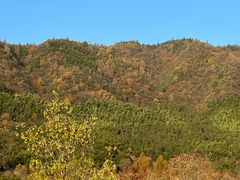 -塔川景区
