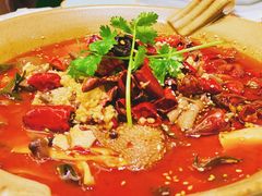 金牌毛血旺-辛香汇·现炒川菜(淮海路百盛店)