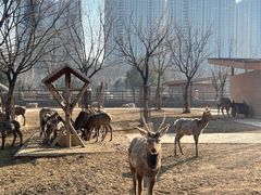 -太原动物园