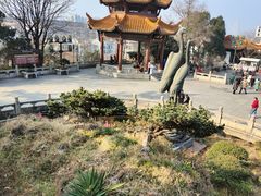 -黄鹤楼公园(黄鹤楼)