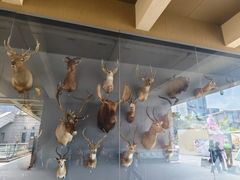 -陕西自然博物馆