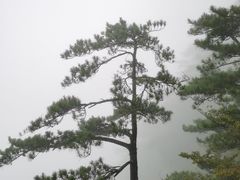 -罗田天堂寨风景区
