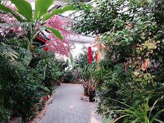 -德百温泉大观园生态餐厅(夏津店)