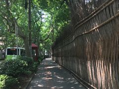 -夏朵餐厅(丁香店)