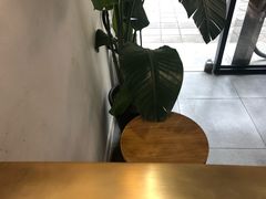 -常识咖啡common sense(春熙路店)