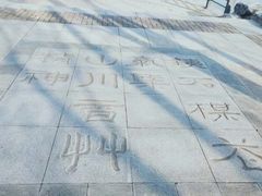 -大兴滨河森林公园