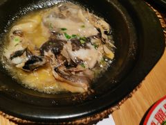 -邹开喜·炭炉鸡煲·海鲜火锅(虹口足球场店)