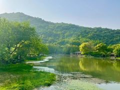 -西湖风景区-江洋畈生态公园