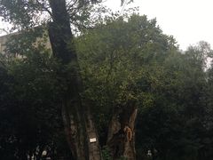 -湖北省美术院美术馆