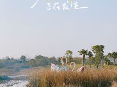 -空港花田景区