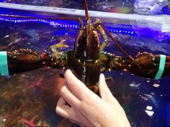 -盒马鲜生(莱蒙都会店)