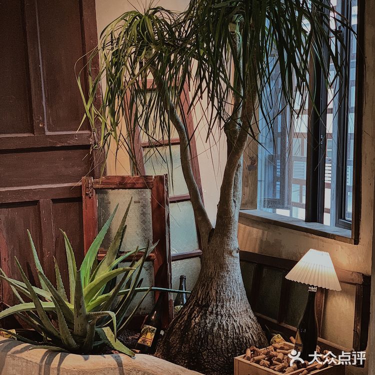 广州新店|远离城市喧嚣🍃来一份森系下午茶