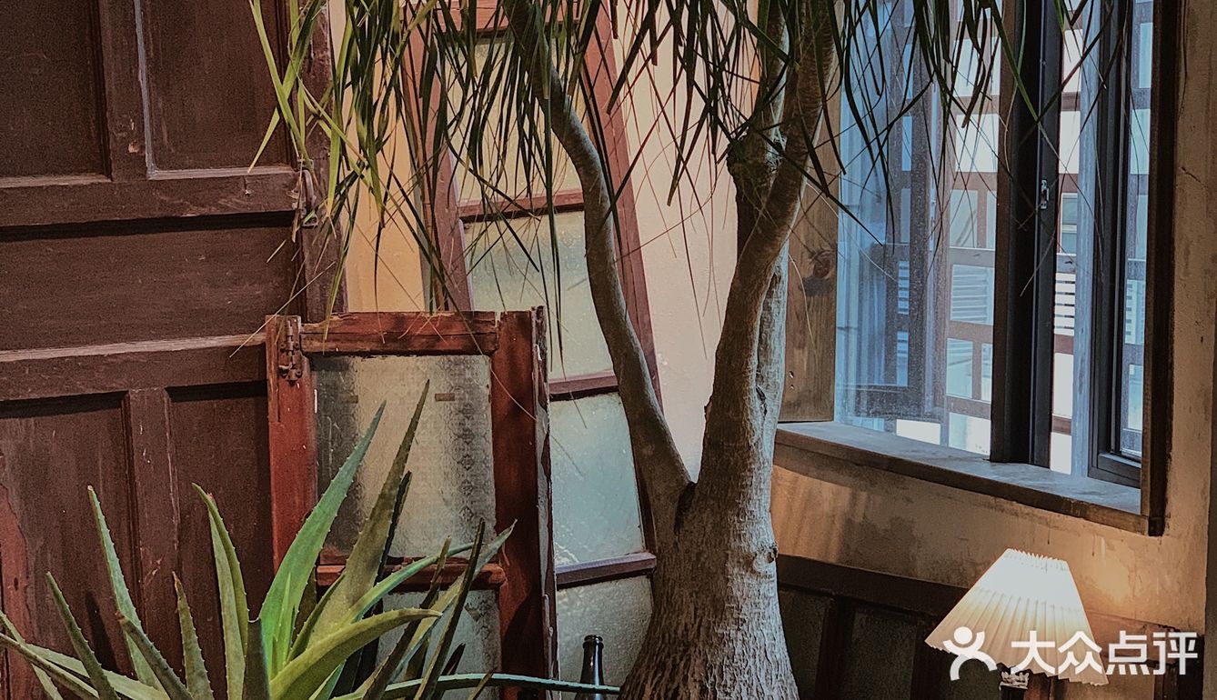 广州新店｜远离城市喧嚣🍃来一份森系下午茶