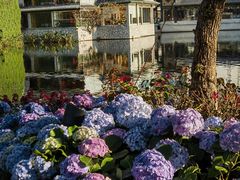 -荔湾湖公园
