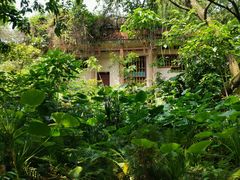 -广西壮族自治区药用植物园