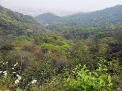 -广州市白云山风景名胜区