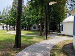 -上海长兴岛郊野公园