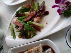 -云中小雅