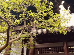 -常熟方塔园