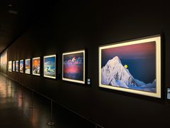 -罗红摄影艺术馆