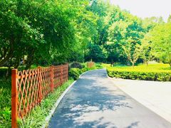 -徐家汇源景区-衡山公园