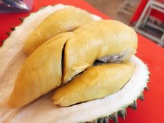 -都念榴莲·城市榴莲