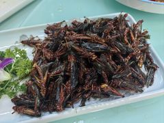 -新味都博山菜