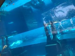 -亚特兰蒂斯水世界冒险乐园