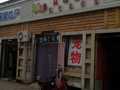 -A猫a狗全科·犬猫异宠·芥西宠物医院(南开总院)