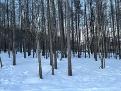 -长白山万达锦华套房酒店