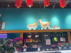 -大白羊蝎子馆(后沙峪山姆店)