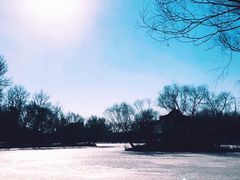 -二一九公园