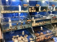 -雅逸居海鲜小厨