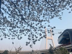 -南浦大桥长途旅游客运站