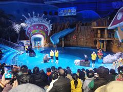 -烟台海昌鲸鲨海洋公园