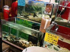 -大树下海鲜饭店