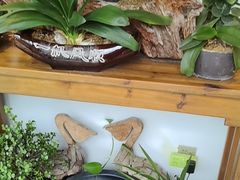 -茶油香闽南菜·花园餐厅(前埔店)