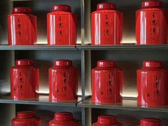 -王德传茶庄(上海新天地店)