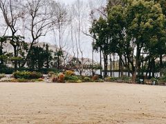 -上海醉白池公园
