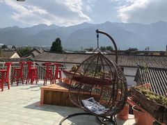 -喵屿·大理花园猫咖