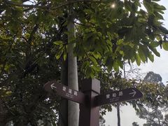 -三圣花乡旅游区
