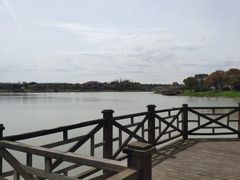 -上海海湾国家森林公园