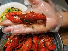-肥肥虾庄·金牌油焖大虾(东湖欢乐谷店)